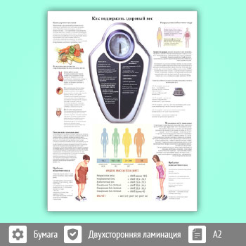 Плакат «Как поддержать здоровый вес» (ЗОЖ-11, 1 лист, A2)